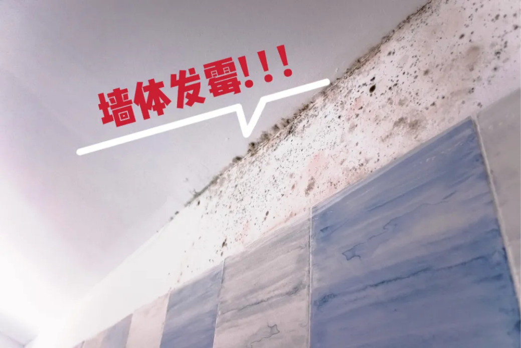 家装防水涂料该如何选？龙8国际帮你支招